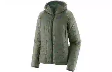 patagonia Micro Puff Logo