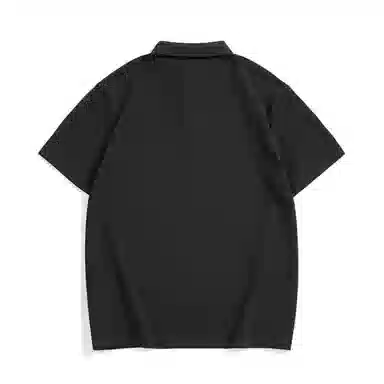 Hansca Polo