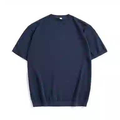 Hansca Polo