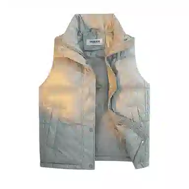 鸭鸭 纯色休闲单排扣立领无帽羽绒加厚马甲 女款