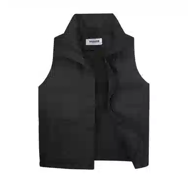 鸭鸭 纯色休闲单排扣立领无帽羽绒加厚马甲 女款