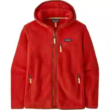 Patagonia Retro Pile Hoodie