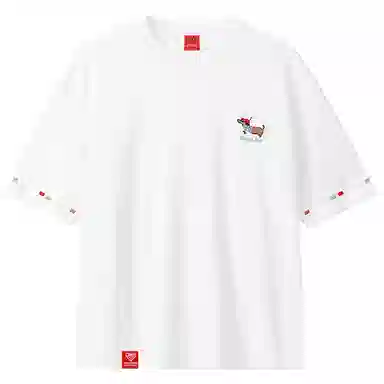 MIIRACER T