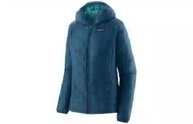 patagonia Micro Puff Logo