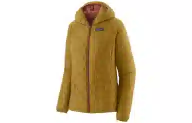 patagonia Micro Puff Logo