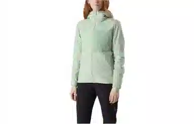 Arcteryx Proton LT Hoody
