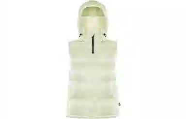 Aritzia Super Puff Liquid Shine