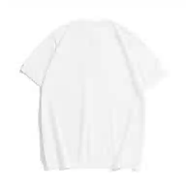 Hansca Polo