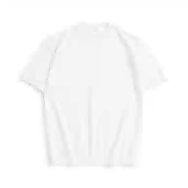 Hansca Polo