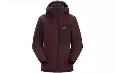 Arcteryx Proton LT Hoody