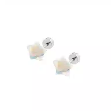 SUYG Titanium Stud Earrings