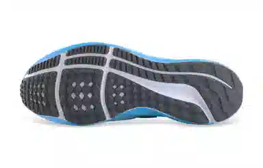 Nike Air Zoom Pegasus 39