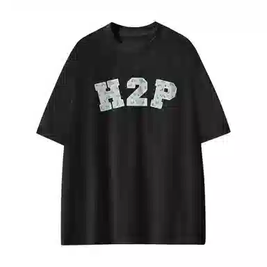 H2P logoT
