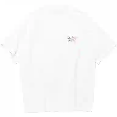 Arcteryx Kragg cottonT