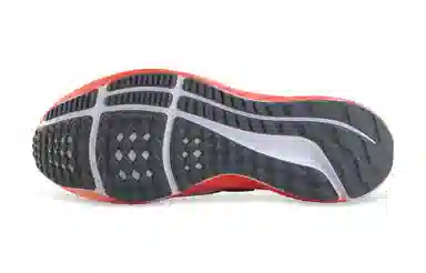 Nike Air Zoom Pegasus 39