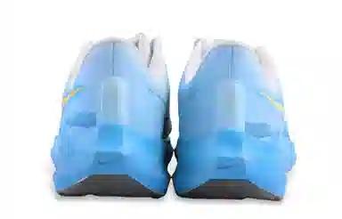 Nike Air Zoom Pegasus 39