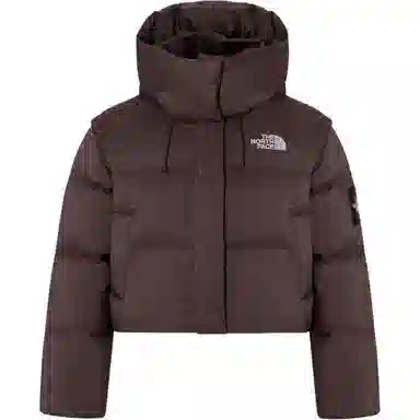 The North Face Novelty Nuptse Brown
