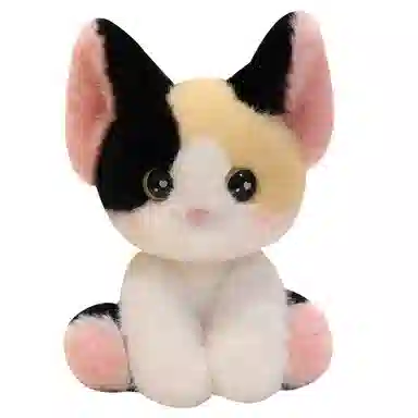 24cm