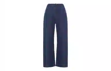UNIQLO x Ines de la Fressange Navy Pants