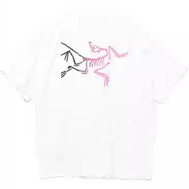 Arcteryx Kragg cottonT