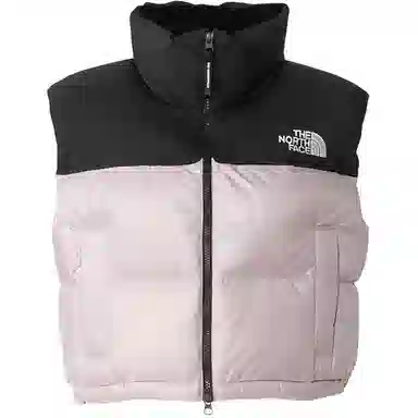 THE NORTH FACE Nupsi FW24 WL logo