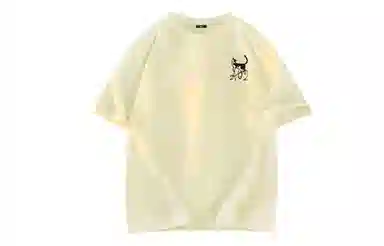 a02 T