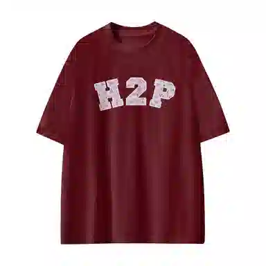 H2P logoT