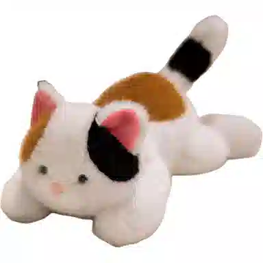 30cm