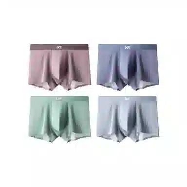 Lee 4