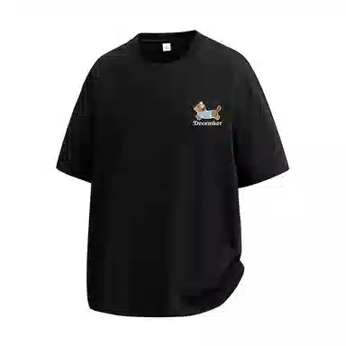 LSVE NASA T