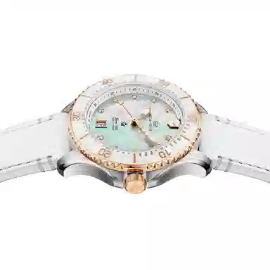 Sea-Gull 219.17.1211