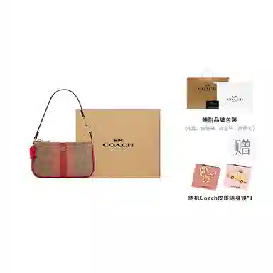 COACH Nolita 19