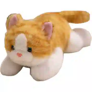 30cm
