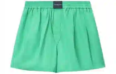Alexander Wang Shorts Green