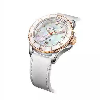 Sea-Gull 219.17.1211