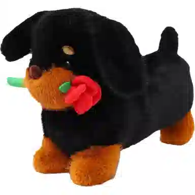 MORTEN SOLUM 33cm50cm