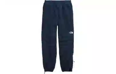 THE NORTH FACE Ripstop Denali Pants Logo