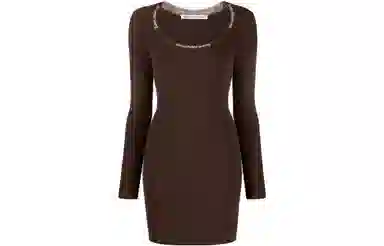 Alexander Wang FW22 Brown Dress