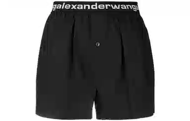 alexander wang Logo
