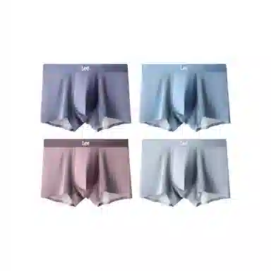 Lee 4
