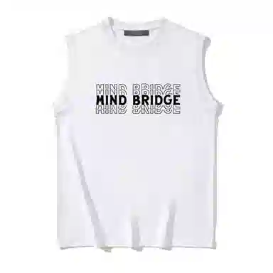 MindBridge
