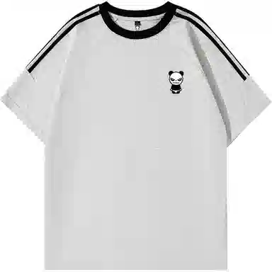 HIPANDA T