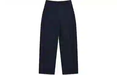 Kirsh Navy Wide-Leg Pants