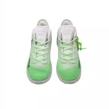 Nike LeBron NXXT Gen Zoon