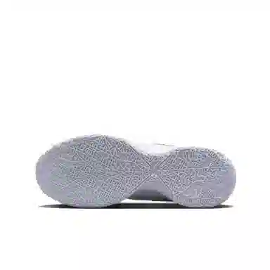 Nike LeBron NXXT Gen Zoon