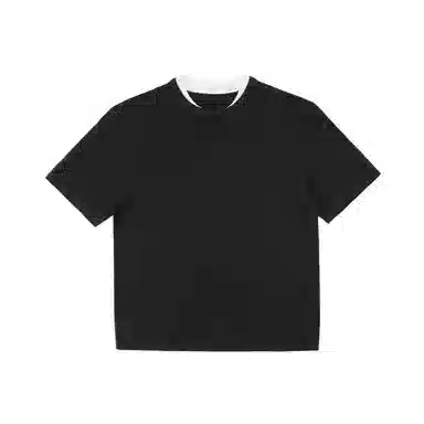 FDMWAVE T