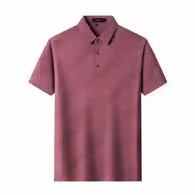 PIERRE CARDIN Polo