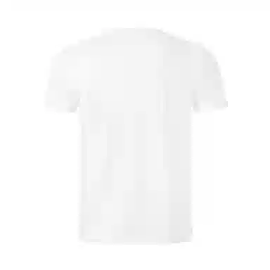 DESCENTE RUNNING AWAKENlogoT