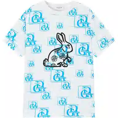 DEGAIA T