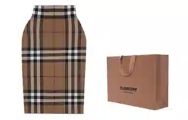Burberry SS21 Jacquard Skirt Brown